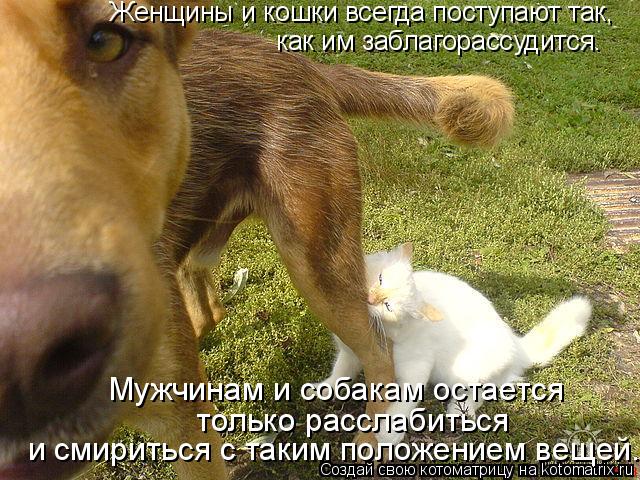 Женщины и кошки всегда поступают так, как им заблагорассудится. Мужчинам и собакам остается и смирит... Котоматрица: Женщины и кошки всегда поступают так, как им заблагорассудится. Мужчинам и собакам остается и смириться с таким положением вещей. только р