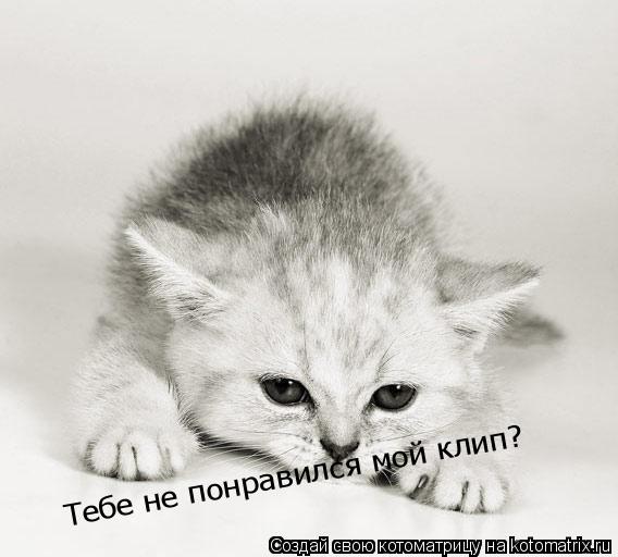 Тебе не понравился мой клип?... Котоматрица: Тебе не понравился мой клип?