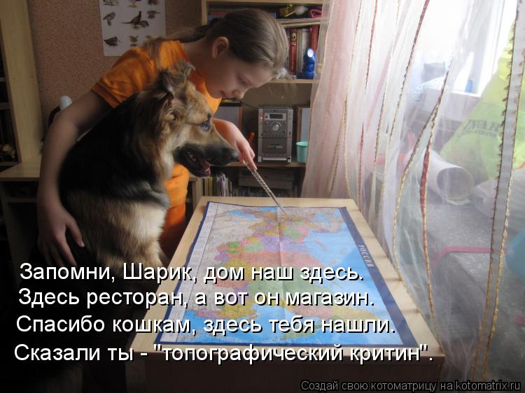 Запомни, Шарик, дом наш здесь. Здесь ресторан, а вот он магазин. Спасибо кошкам, здесь тебя нашли. Ск... Котоматрица: Запомни, Шарик, дом наш здесь. Здесь ресторан, а вот он магазин. Спасибо кошкам, здесь тебя нашли. Сказали ты - "топографический критин".