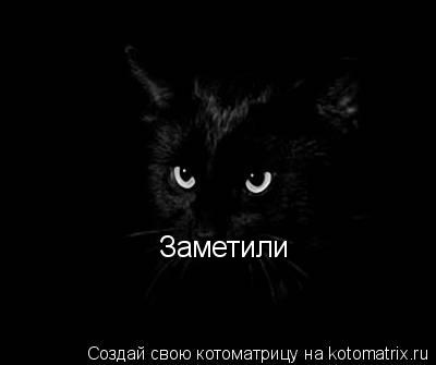Заметили... Котоматрица: Заметили