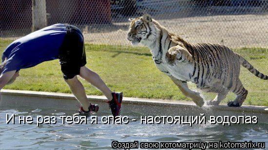 И не раз тебя я спас - настоящий водолаз... Котоматрица: И не раз тебя я спас - настоящий водолаз