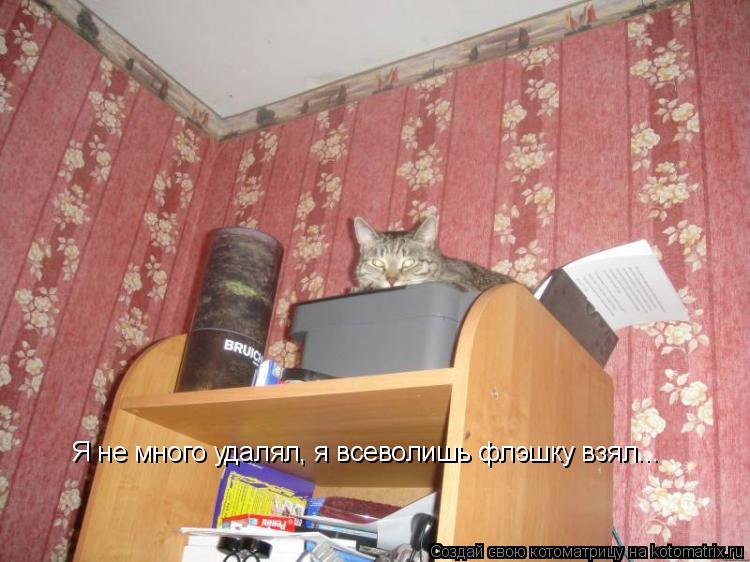 Я не много удалял, я всеволишь флэшку взял...... Котоматрица: Я не много удалял, я всеволишь флэшку взял...