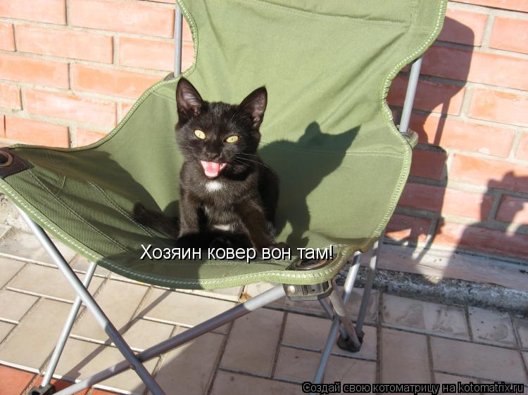 Хозяин ковер вон там!... Котоматрица: Хозяин ковер вон там!