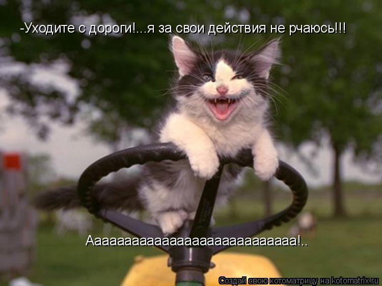 -Уходите с дороги!...я за свои действия не рчаюсь!!! Аааааааааааааааааааааааааааа!..... Котоматрица: -Уходите с дороги!...я за свои действия не рчаюсь!!! Аааааааааааааааааааааааааааа!..