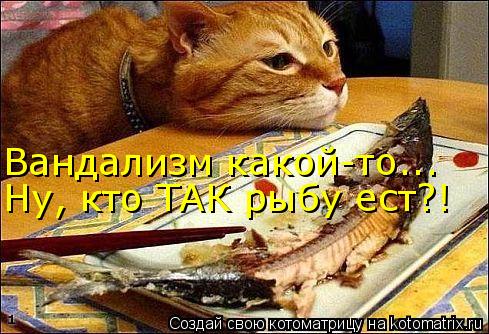 Вандализм какой-то... Ну, кто ТАК рыбу ест?!... Котоматрица: Вандализм какой-то... Ну, кто ТАК рыбу ест?!