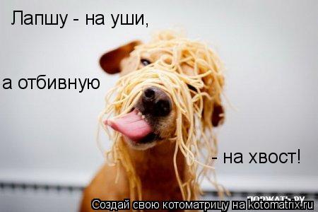 Лапшу - на уши, а отбивную - на хвост!... Котоматрица: Лапшу - на уши, а отбивную - на хвост!