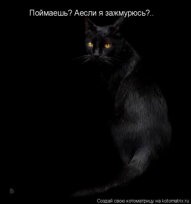 Поймаешь? Аесли я зажмурюсь?..... Котоматрица: Поймаешь? Аесли я зажмурюсь?..