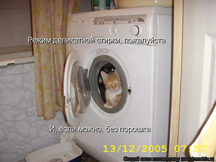 Режим деликатной стирки, пожалуйста И, если можно, без порошка... Котоматрица: Режим деликатной стирки, пожалуйста И, если можно, без порошка