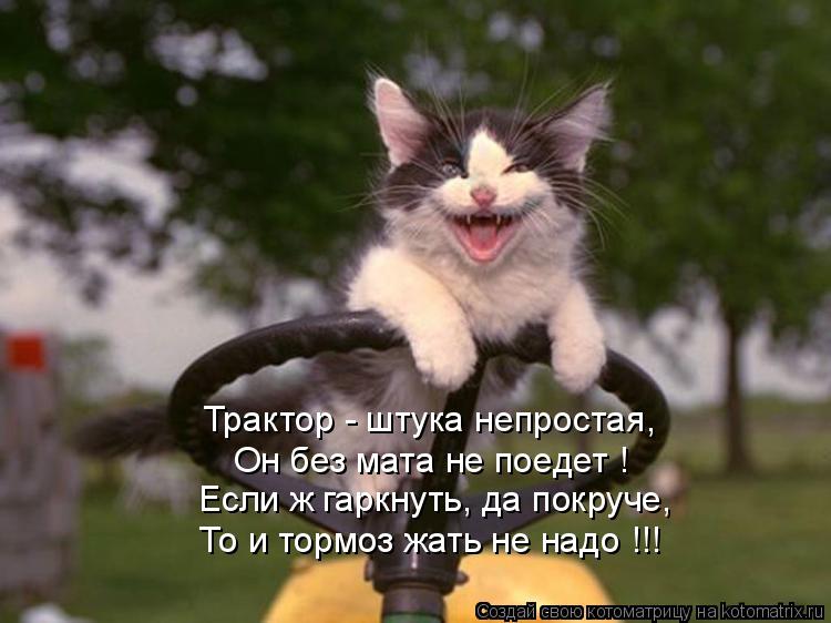 Котоматрица: Трактор - штука непростая, Он без мата не поедет ! Если ж гаркнуть, да покруче, То и тормоз жать не надо !!!