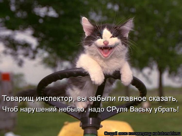 Товарищ инспектор, вы забыли главное сказать, Чтоб нарушений небыло, надо СРуля Ваську убрать!... Котоматрица: Товарищ инспектор, вы забыли главное сказать, Чтоб нарушений небыло, надо СРуля Ваську убрать!