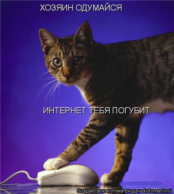 ХОЗЯИН ОДУМАЙСЯ ИНТЕРНЕТ ТЕБЯ ПОГУБИТ... Котоматрица: ХОЗЯИН ОДУМАЙСЯ ИНТЕРНЕТ ТЕБЯ ПОГУБИТ