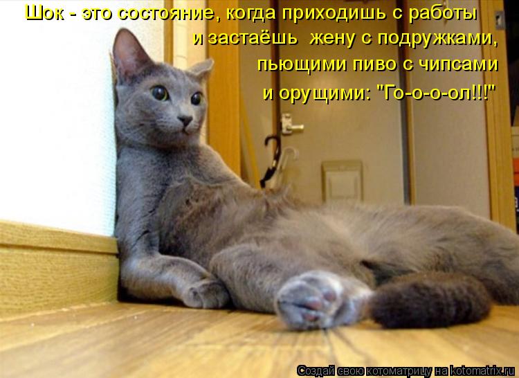 Шок - это состояние, когда приходишь с работы пьющими пиво с чипсами и орущими: "Го-о-о-ол!!!" и за... Котоматрица: Шок - это состояние, когда приходишь с работы пьющими пиво с чипсами и орущими: "Го-о-о-ол!!!" и застаёшь жену с подружками,