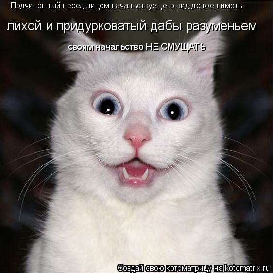 Подчинённый перед лицом начальствуещего вид должен иметь лихой и придурковатый дабы разуменьем своим ... Котоматрица: Подчинённый перед лицом начальствуещего вид должен иметь лихой и придурковатый дабы разуменьем своим начальство НЕ СМУЩАТЬ