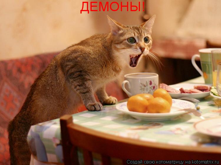 ДЕМОНЫ!... Котоматрица: ДЕМОНЫ!