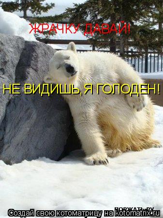 ЖРАЧКУ ДАВАЙ! НЕ ВИДИШЬ,Я ГОЛОДЕН!... Котоматрица: ЖРАЧКУ ДАВАЙ! НЕ ВИДИШЬ,Я ГОЛОДЕН!