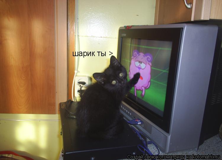 шарик ты >... Котоматрица: шарик ты >