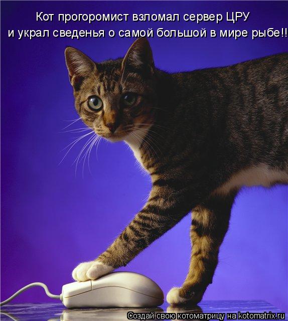Кот прогоромист взломал сервер ЦРУ и украл сведенья о самой большой в мире рыбе!!... Котоматрица: Кот прогоромист взломал сервер ЦРУ и украл сведенья о самой большой в мире рыбе!!