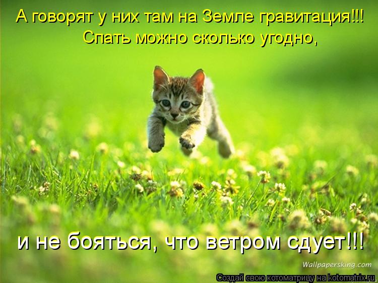 А говорят у них там на Земле гравитация!!! Спать можно сколько угодно, и не бояться, что ветром сдуе... Котоматрица: А говорят у них там на Земле гравитация!!! Спать можно сколько угодно, и не бояться, что ветром сдует!!! и не бояться, что ветром сдует!!!