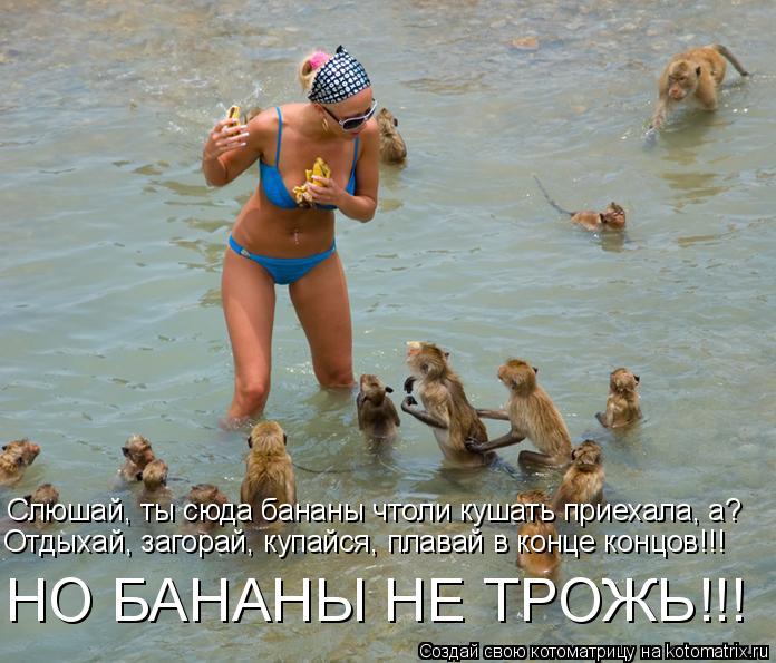 Слюшай, ты сюда бананы чтоли кушать приехала, а? Отдыхай, загорай, купайся, плавай в конце концов!!! ... Котоматрица: Слюшай, ты сюда бананы чтоли кушать приехала, а? Отдыхай, загорай, купайся, плавай в конце концов!!! НО БАНАНЫ НЕ ТРОЖЬ!!!