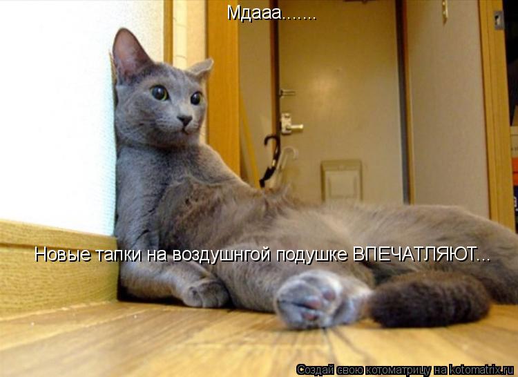 Мдааа....... Новые тапки на воздушнгой подушке ВПЕЧАТЛЯЮТ...... Котоматрица: Мдааа....... Новые тапки на воздушнгой подушке ВПЕЧАТЛЯЮТ...