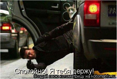 Спокойно! Я тебя держу!... Котоматрица: Спокойно! Я тебя держу!