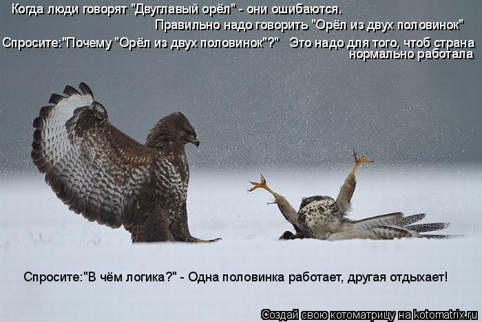 Когда люди говорят "Двуглавый орёл" - они ошибаются. Правильно надо говорить "Орёл из двух половинок"... Котоматрица: Когда люди говорят "Двуглавый орёл" - они ошибаются. Правильно надо говорить "Орёл из двух половинок" Спросите:"Почему "Орёл из двух половино