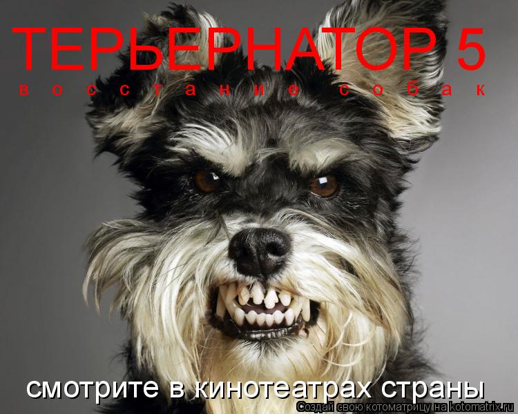 ТЕРЬЕРНАТОР 5 в о с с т а н и е с о б а к смотрите в киноте... Котоматрица: ТЕРЬЕРНАТОР 5 в о с с т а н и е с о б а к смотрите в кинотеатрах страны
