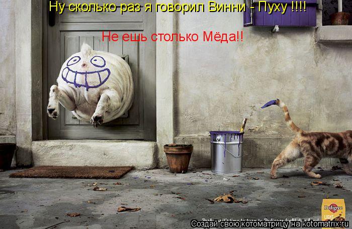 Ну сколько раз я говорил Винни - Пуху !!!! Не ешь столько Мёда!!... Котоматрица: Ну сколько раз я говорил Винни - Пуху !!!! Не ешь столько Мёда!!