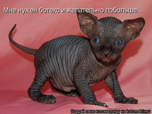 Мне нужен ботекс и желательно побольше...... Котоматрица: Мне нужен ботекс и желательно побольше...