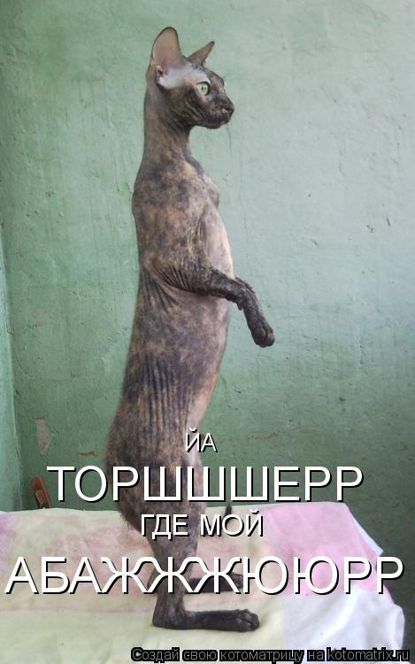 ЙА ТОРШШШЕРР ГДЕ МОЙ АБАЖЖЖЮЮРР... Котоматрица: ЙА ТОРШШШЕРР ГДЕ МОЙ АБАЖЖЖЮЮРР