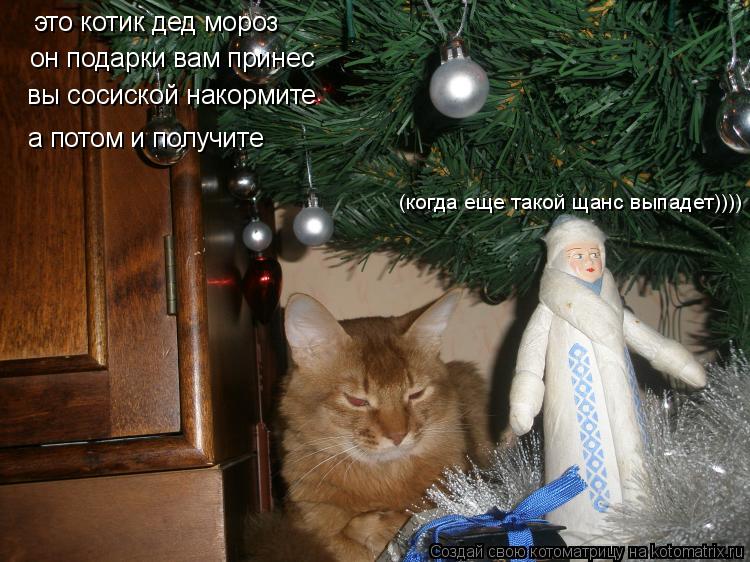 это котик дед мороз он подарки вам принес вы сосиской накормите а потом и получите (когда еще такой щ... Котоматрица: это котик дед мороз он подарки вам принес вы сосиской накормите а потом и получите (когда еще такой щанс выпадет))))
