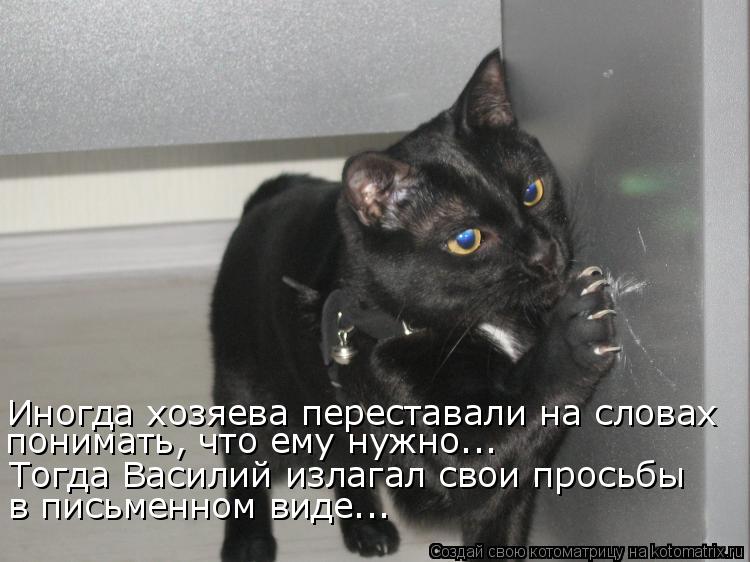 Котоматрица: Иногда хозяева переставали на словах понимать, что ему нужно... Тогда Василий излагал свои просьбы  в письменном виде...