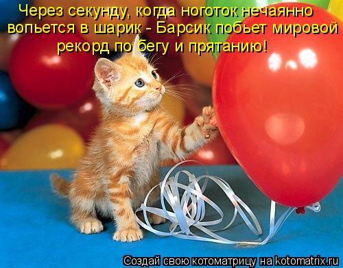 вопьется в шарик - Барсик побьет мировой рекорд по бегу и прятанию! Через секунду, когда ноготок неча... Котоматрица: вопьется в шарик - Барсик побьет мировой рекорд по бегу и прятанию! Через секунду, когда ноготок нечаянно