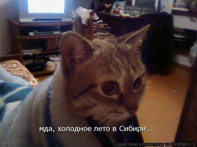 мда, холодное лето в Сибири...... Котоматрица: мда, холодное лето в Сибири...