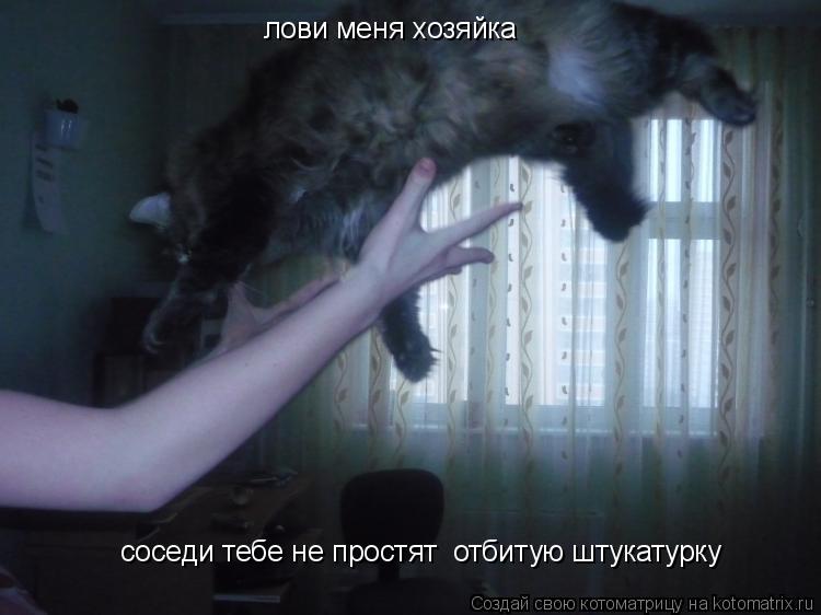 лови меня хозяйка соседи тебе не простят отбитую штукатурку... Котоматрица: лови меня хозяйка соседи тебе не простят отбитую штукатурку