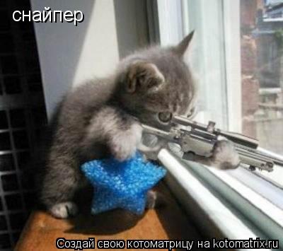 снайпер... Котоматрица: снайпер