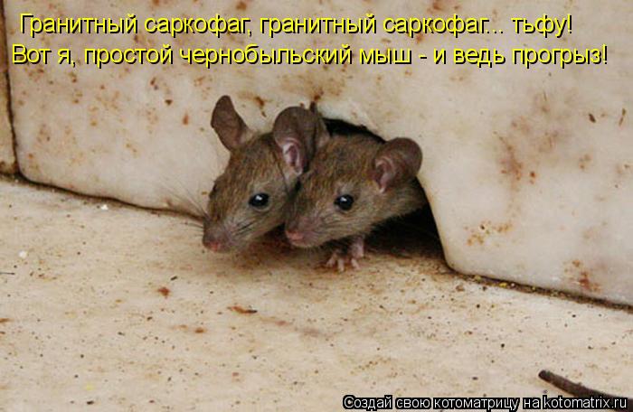 Гранитный саркофаг, гранитный саркофаг... тьфу! Вот я, простой чернобыльский мыш - и ведь прогрыз!... Котоматрица: Гранитный саркофаг, гранитный саркофаг... тьфу! Вот я, простой чернобыльский мыш - и ведь прогрыз!