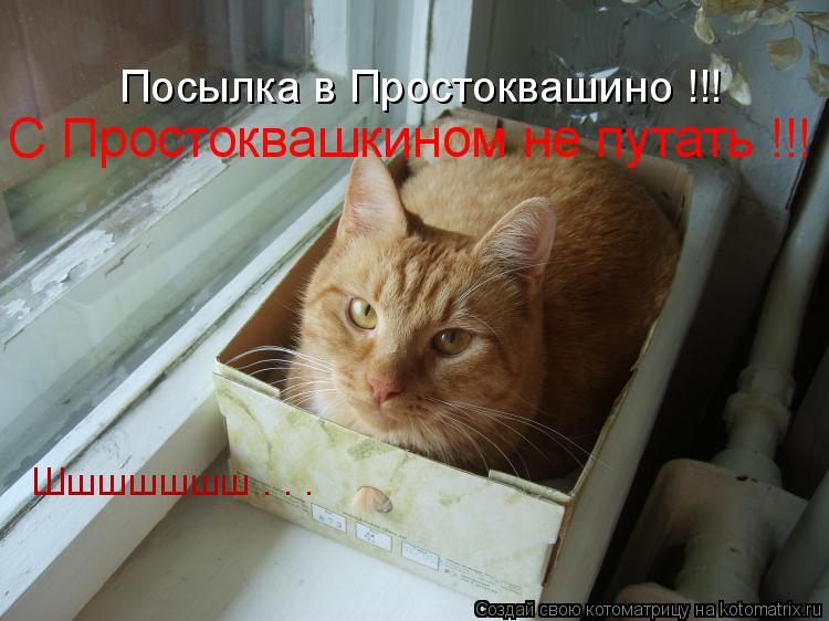 Посылка в Простоквашино !!! С Простоквашкином не путать !!! Шшшшшшш . . .... Котоматрица: Посылка в Простоквашино !!! С Простоквашкином не путать !!! Шшшшшшш . . .