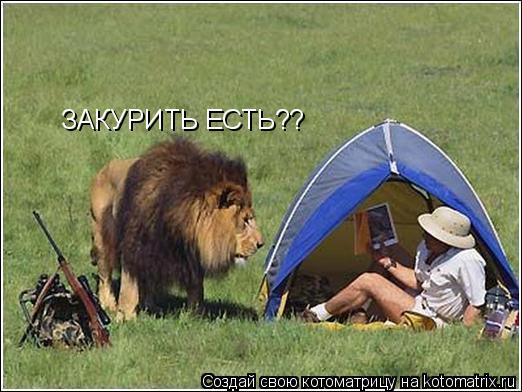 ЗАКУРИТЬ ЕСТЬ??... Котоматрица: ЗАКУРИТЬ ЕСТЬ??