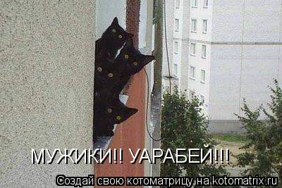 МУЖИКИ!! УАРАБЕЙ!!!... Котоматрица: МУЖИКИ!! УАРАБЕЙ!!!