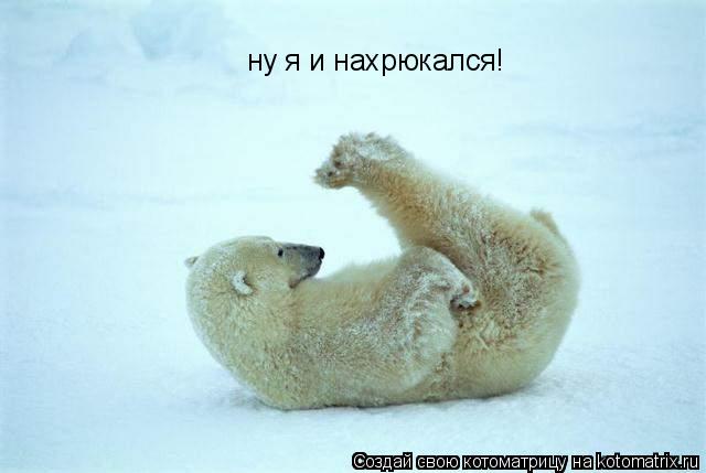 ну я и нахрюкался!... Котоматрица: ну я и нахрюкался!