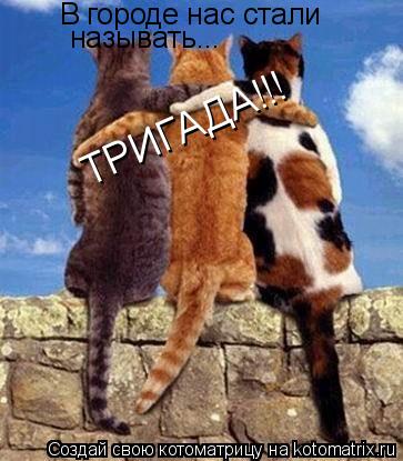 В городе нас стали называть... ТРИГАДА!!!... Котоматрица: В городе нас стали называть... ТРИГАДА!!!