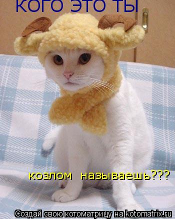 КОГО ЭТО ТЫ козлом называешь???... Котоматрица: КОГО ЭТО ТЫ козлом называешь???