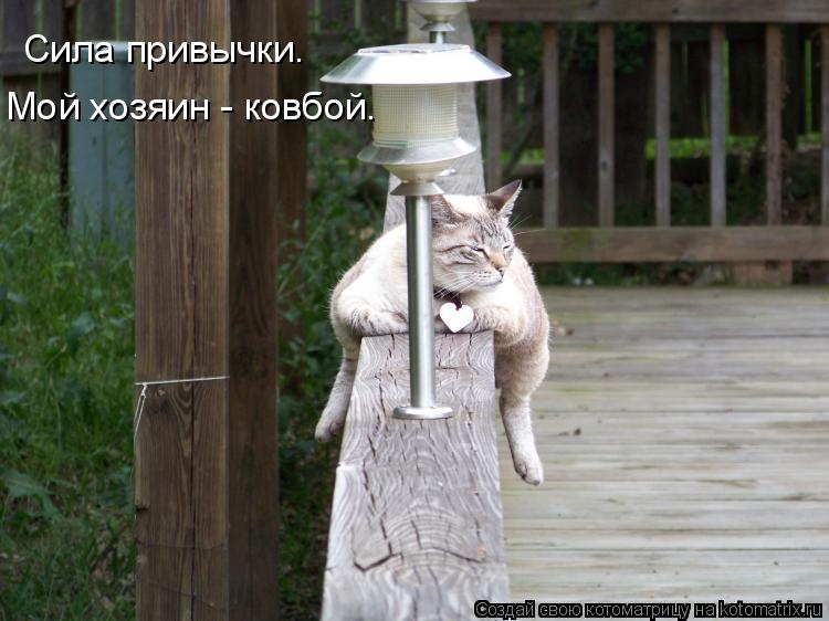 Сила привычки. Мой хозяин - ковбой.... Котоматрица: Сила привычки. Мой хозяин - ковбой.