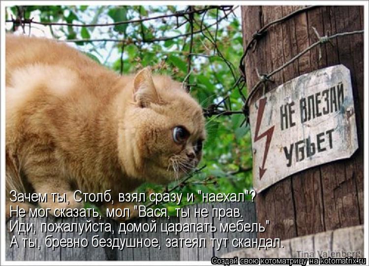 Зачем ты, Столб, взял сразу и "наехал"? Не мог сказать, мол "Вася, ты не прав. Иди, пожалуйста, домой... Котоматрица: Зачем ты, Столб, взял сразу и "наехал"? Не мог сказать, мол "Вася, ты не прав. Иди, пожалуйста, домой царапать мебель" А ты, бревно бездушное, зат