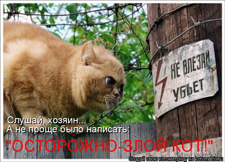 Слушай, хозяин... А не проще было написать: "ОСТОРОЖНО-ЗЛОЙ КОТ!"... Котоматрица: Слушай, хозяин... А не проще было написать: "ОСТОРОЖНО-ЗЛОЙ КОТ!"