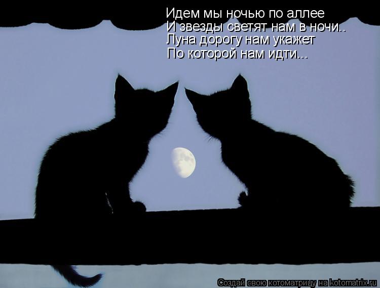 Идем мы ночью по аллее И звезды светят нам в ночи.. Луна дорогу нам укажет По которой нам идти...... Котоматрица: Идем мы ночью по аллее И звезды светят нам в ночи.. Луна дорогу нам укажет По которой нам идти...