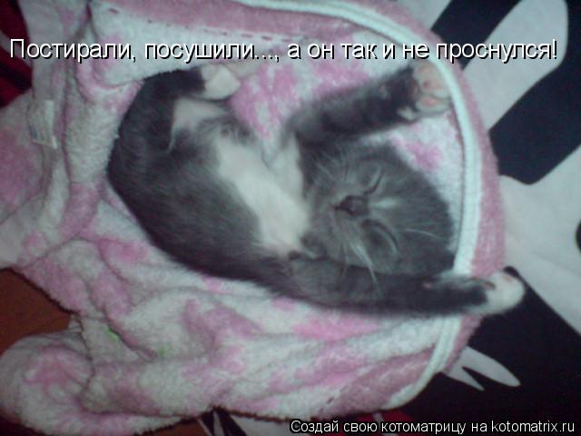 Постирали, посушили..., а он так и не проснулся!... Котоматрица: Постирали, посушили..., а он так и не проснулся!