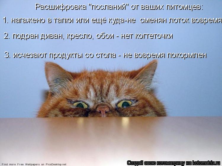 Расшифровка "посланий" от ваших питомцев: 1. нагажено в тапки или ещё куда-не сменян лоток вовремя 2... Котоматрица: Расшифровка "посланий" от ваших питомцев: 1. нагажено в тапки или ещё куда-не сменян лоток вовремя 2. подран диван, кресло, обои - нет когтеточ