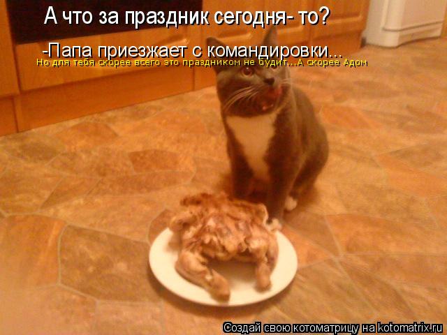 -Папа приезжает с командировки... Но для тебя скорее всего это праздником не будит...А скорее Адом... Котоматрица: -Папа приезжает с командировки... Но для тебя скорее всего это праздником не будит...А скорее Адом